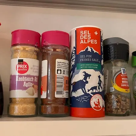 Lejlighed Le National Switzerland *